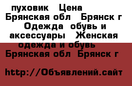 пуховик › Цена ­ 2 000 - Брянская обл., Брянск г. Одежда, обувь и аксессуары » Женская одежда и обувь   . Брянская обл.,Брянск г.